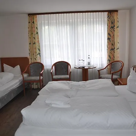Engel Altenau Hotell Altenau (Lower-Saxony)