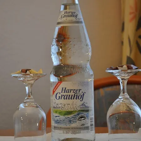 Отель Engel 3*
